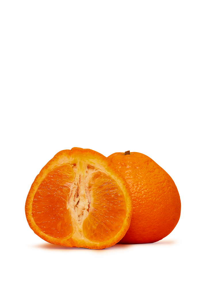 Mandarine Setoka